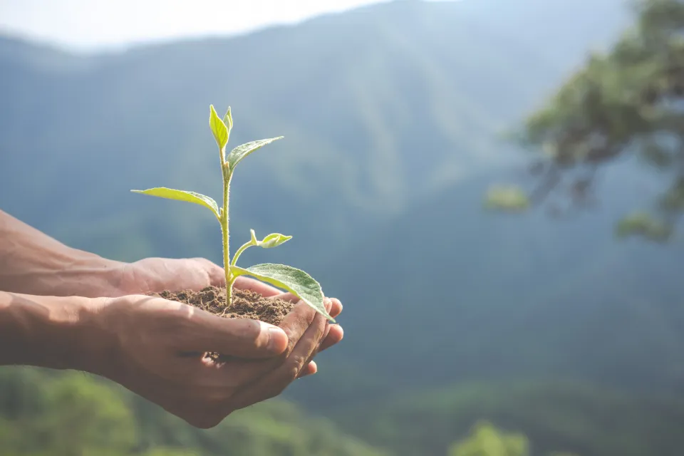 delitos contra el medio ambiente